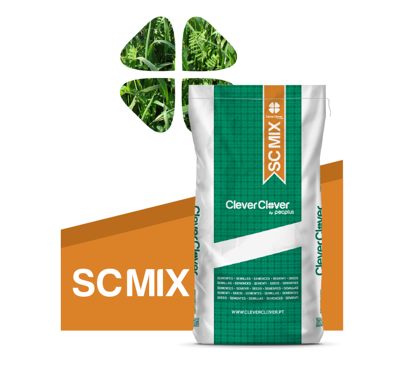 Bolsa de 25kg de la mezcla forrajera SC MIX de Clever Clover Bolsa de 25kg de la mezcla forrajera SC MIX de Clever Clover