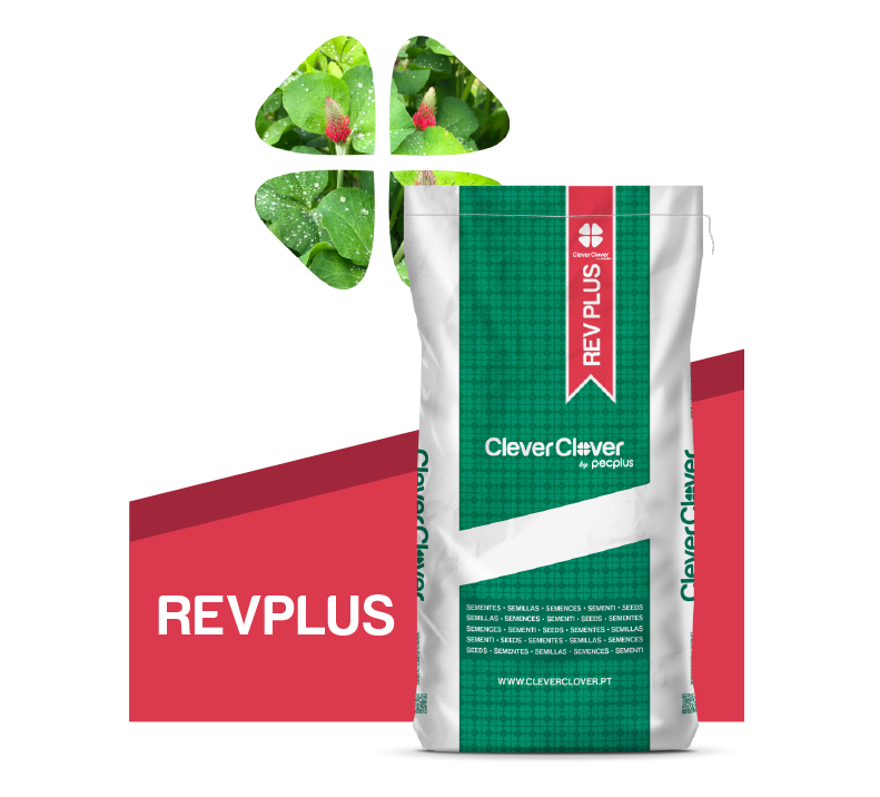 Bolsa de 25kg de la mezcla REVPLUS para recubrimiento de suelos de Clever Clover