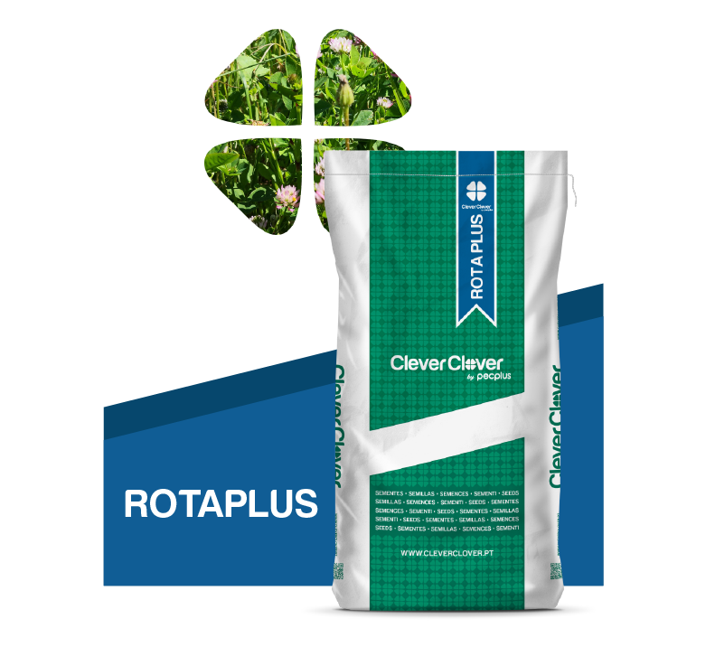 Bolsa de 25kg de la mezcla ROTAPLUS para rotación con cereales de Clever Clover Bolsa de 25kg de la mezcla ROTAPLUS para rotación con cereales de Clever Clover